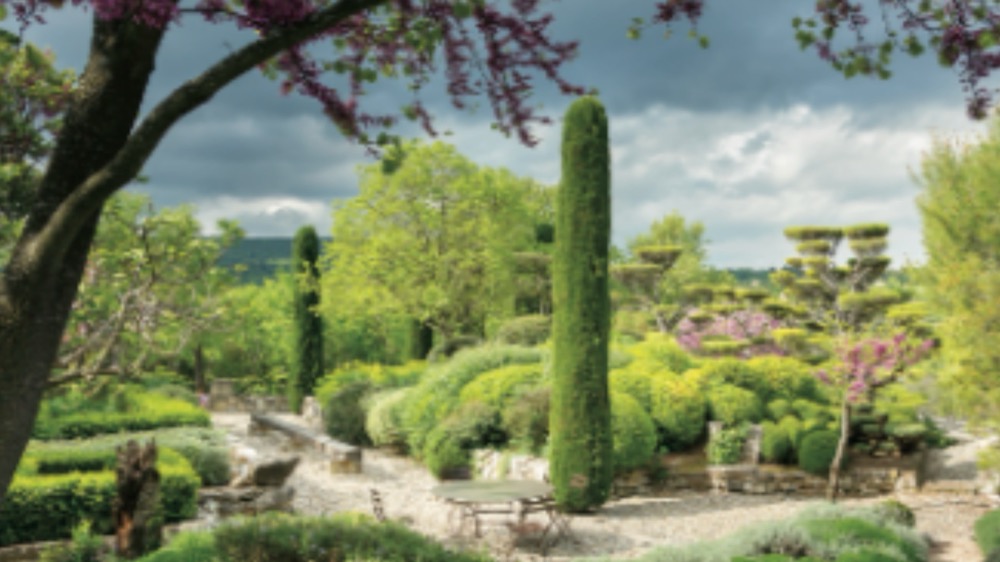 The garden in spring