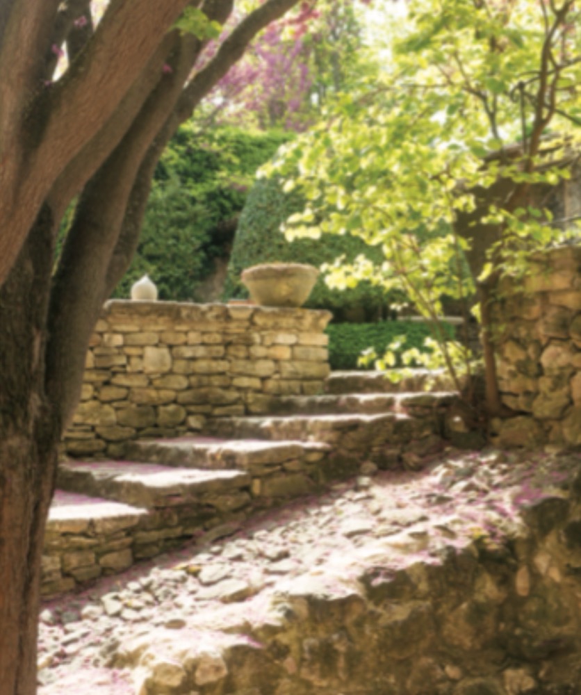 Dry stone steps through the garden, petals on the path